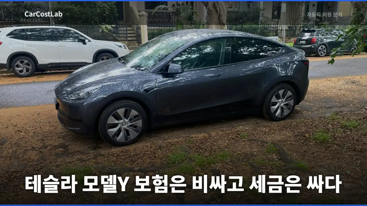 테슬라 모델Y 보험료