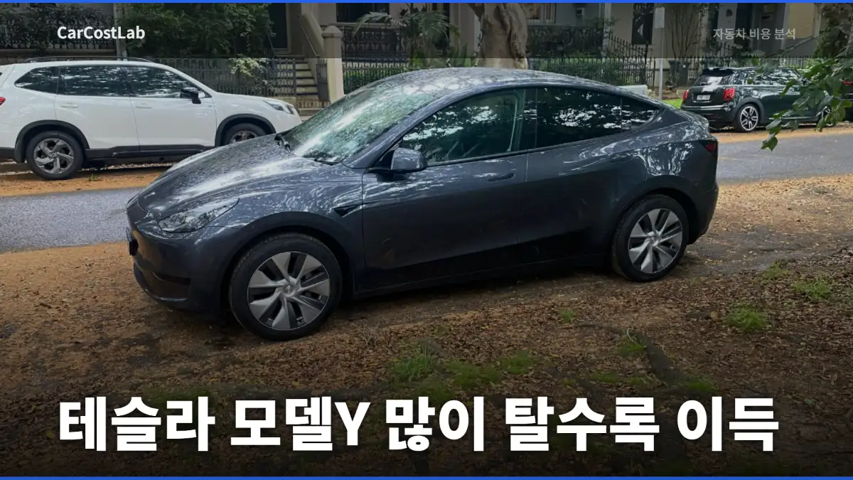 테슬라 모델Y 유지비