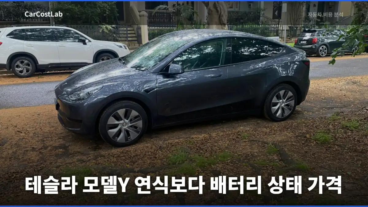 테슬라 모델Y 중고차