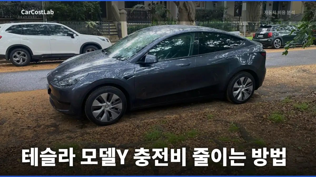 테슬라 모델Y 충전비
